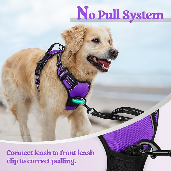 rabbitgoo Dog Harness No Pull with 2 Leash Clips, Adjustable Soft Padded, Reflective Oxford No Choke Pet Vest with Easy Control Handle for Small Dogs, Purple, S