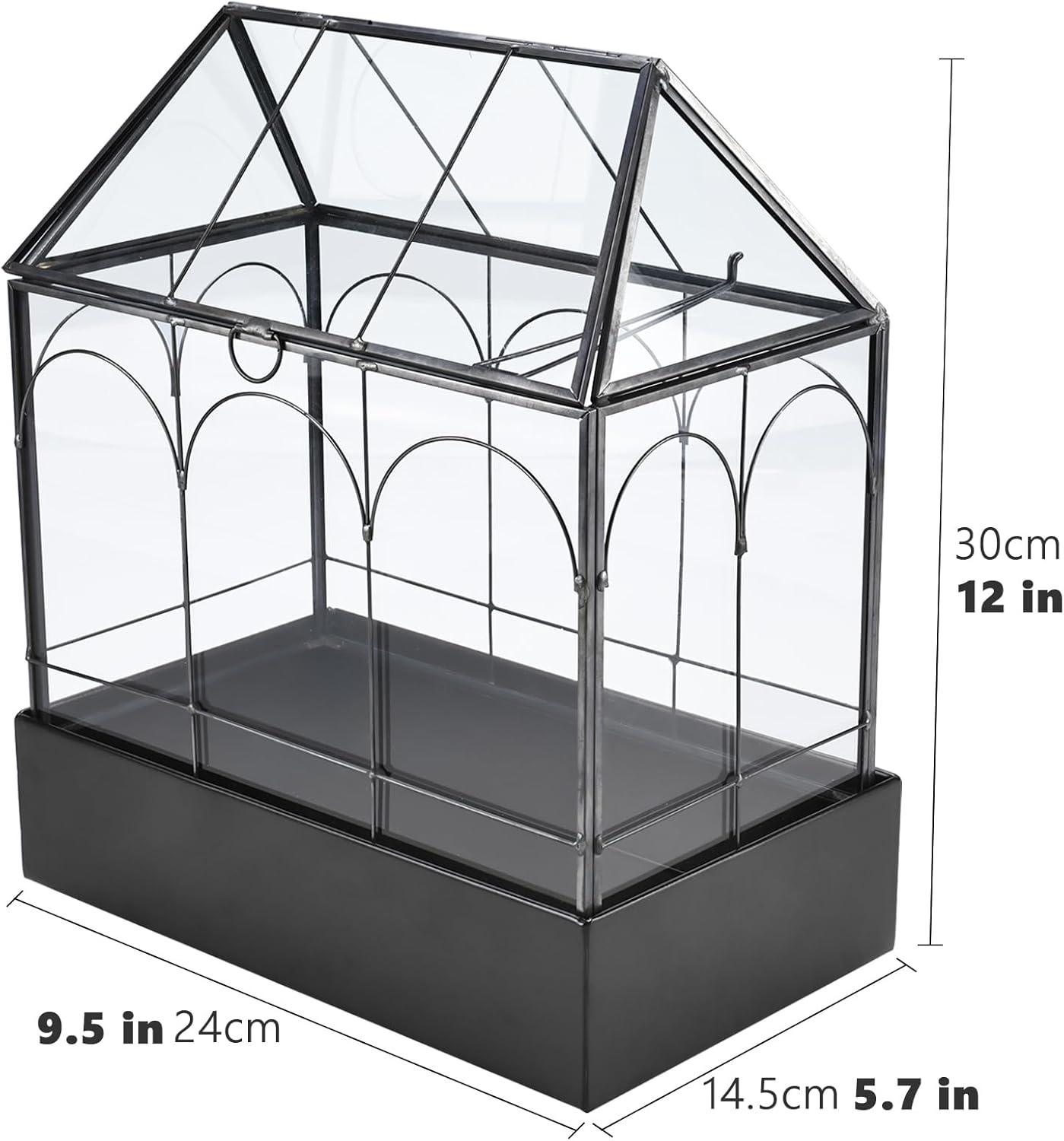 HighFree Glass Terrarium with Metal Tray, Glass Greenhouse Terrarium Kit for Succulents, Cacti, Snails, Spiders, and Miniature Reptiles, Black (Large-9.45" L x 5.7" W x 11.8" H)