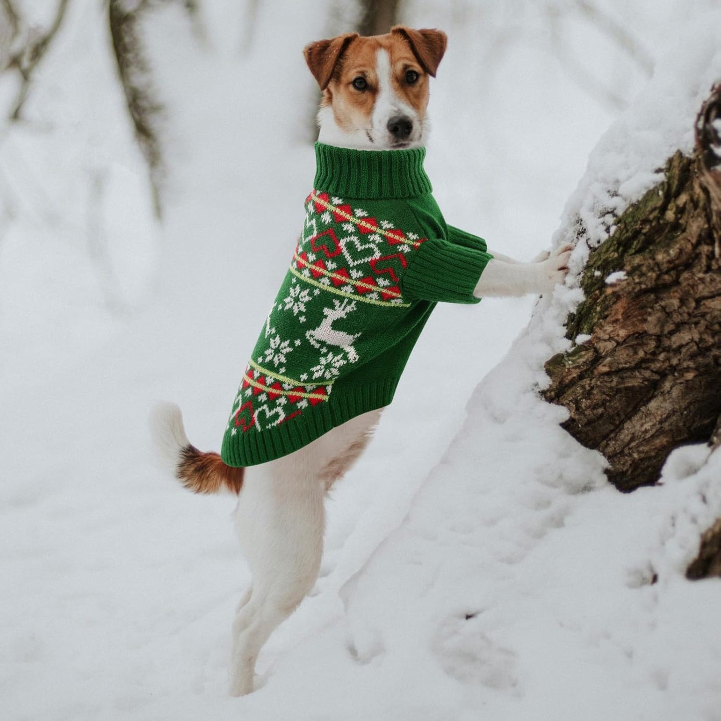 Queenmore Dog Christmas Sweater,Turtleneck Knitted Pullover Xmas Dog Clothes Sweatshirt,Pet Christmas Outfit, Warm Doggy Sweaters for Small Dogs Boy Girl XL