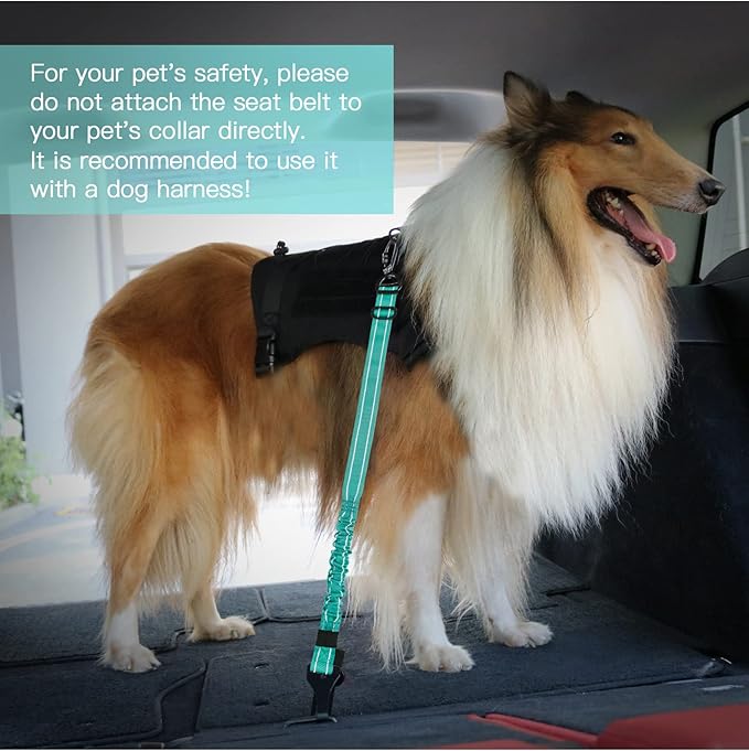 AUBELL Dog Seat Belt for Car,Updated 3-in-1 Adjustable Reflective Bungee Heavy Duty Dog Car Harness Tether with Clip Hook Latch & Buckle,Swivel Zinc Alloy Carabiner,Teal
