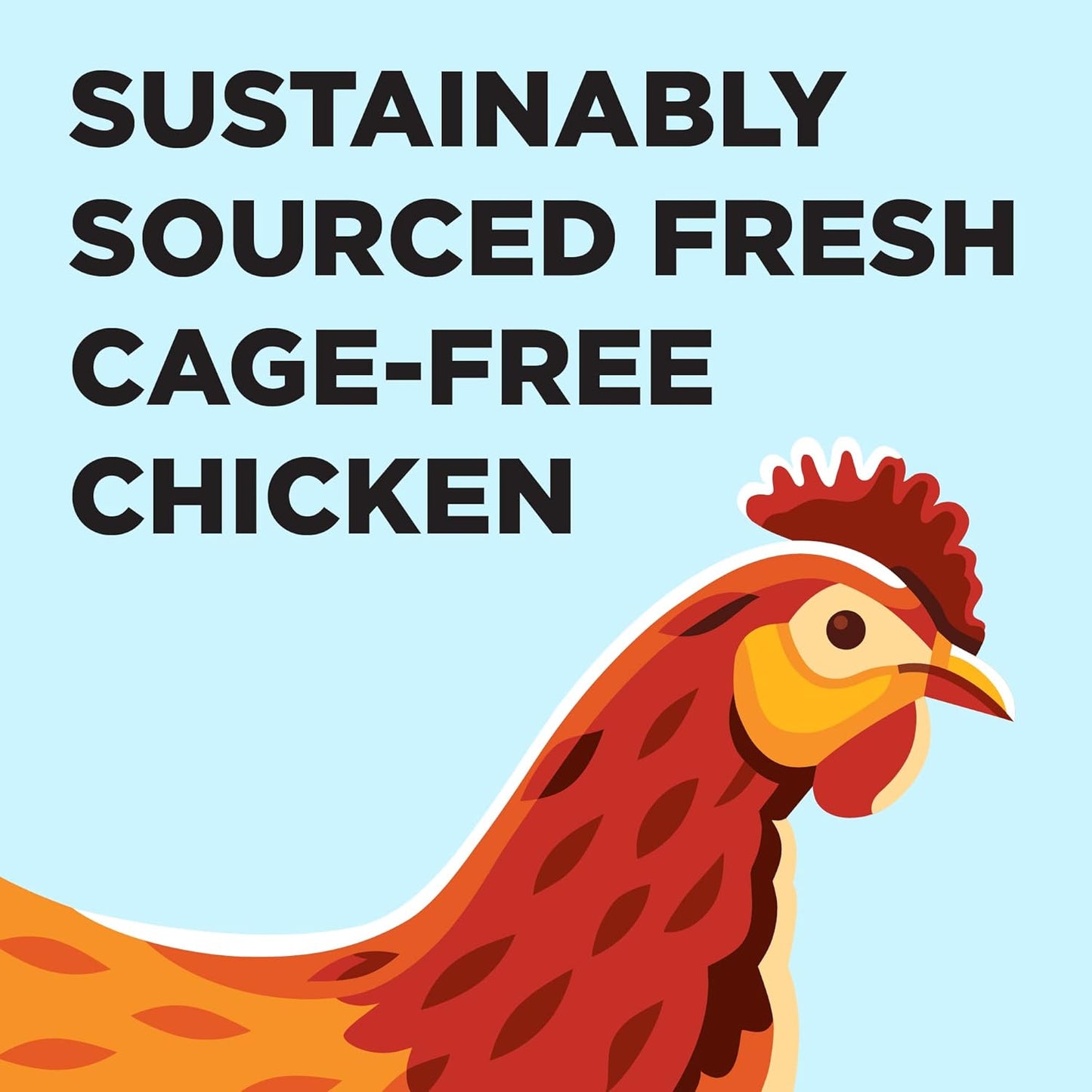 BIXBI Liberty Dry Food Chicken Recipe for Cats, 3lb