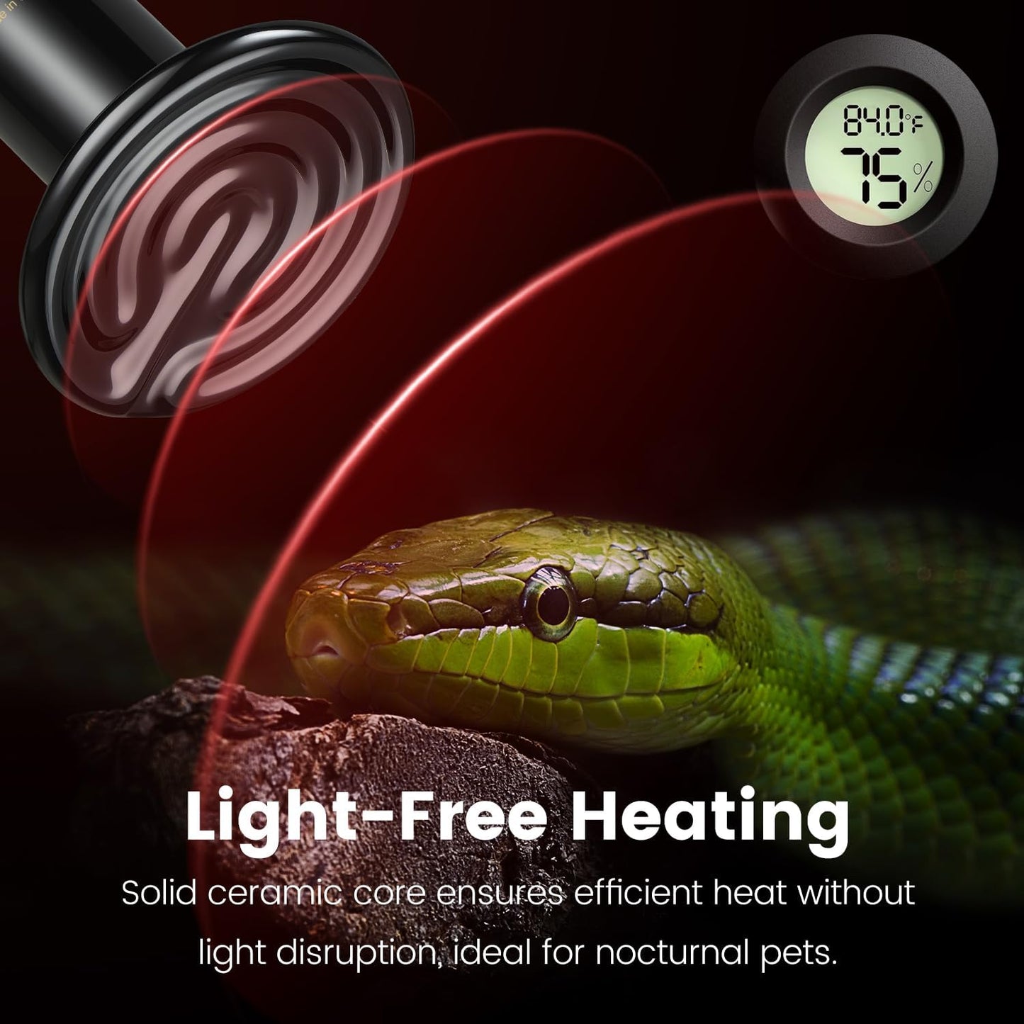 Dual Reptile Light Fixture with 100W Daytime Heat Bulb & 100W Nighttime Ceramic Heat Emitter, 2 Independent Switches, Reptile Heat Lamp Combo Pack - No UVB