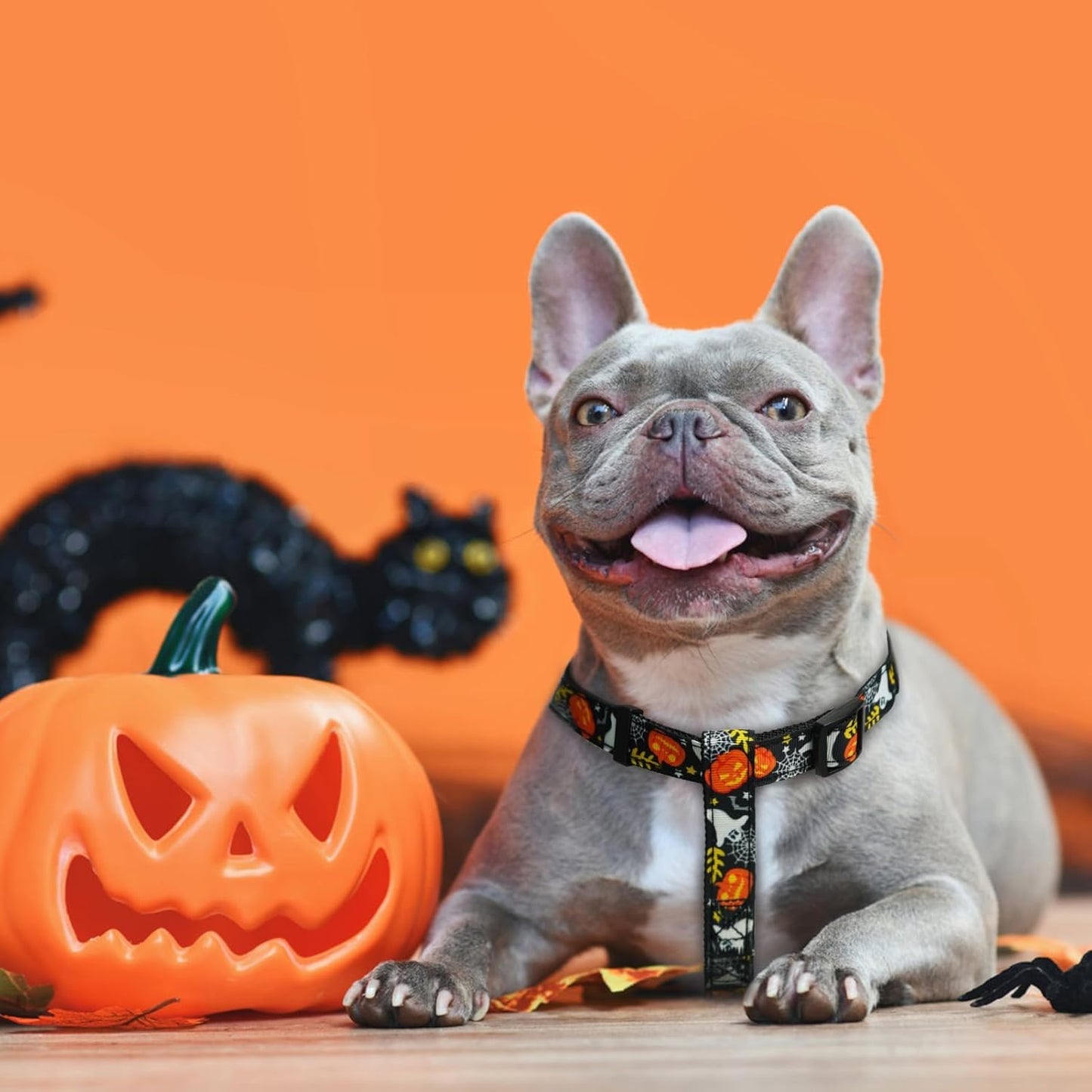 PUPTECK No Pull Dog Harness Soft Adjustable Basic Nylon Step in Puppy Vest Outdoor Walking with ID Tag, Halloween, S