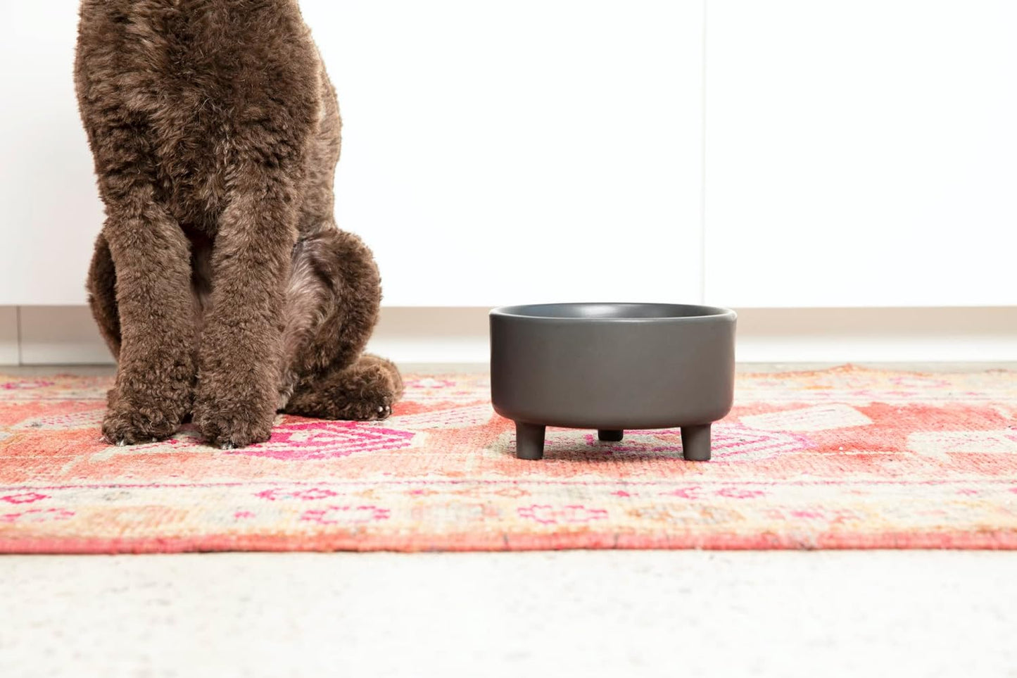 Waggo Uplift Ceramic Dog Bowl for Small Medium and Large Breeds - Heavyweight and Durable Pet Food and Water Dish Crock, Dishwasher Safe, Modern, Elevated Feeder (White, Small)