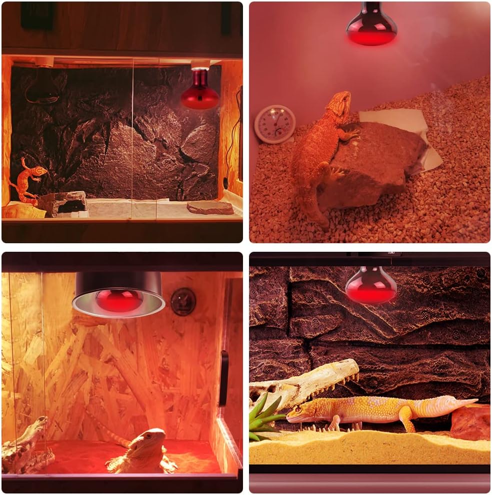 LUCKY HERP 100W Reptile Heat Lamp Bulb 2 Pack, Amphibian Infrared Basking Spot Light Bulb, Red Heat Lamp Bulbs for Reptiles, for Turtle, Bearded Dragon, Lizard, etc