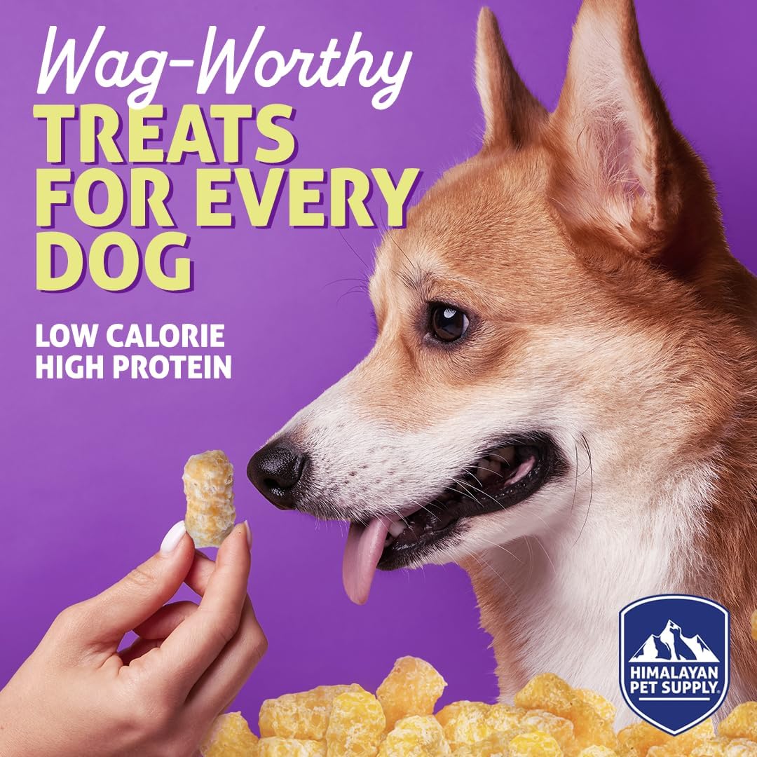 Barkeetos Dog Treats, Crunchy and Cheesy Pet Snacks Made with Real Himalayan Cheese and Peanut, Gluten Free, Grain Free, Lactose Free, Natural Dog Food for All Breeds and Sizes