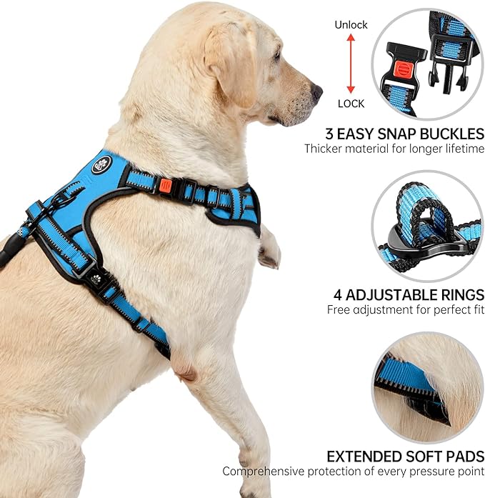 NESTROAD No Pull Dog Vest Harness with Leash, Adjustable Reflective Oxford Pet Harness with Easy Control Handle for Small Dogs, Blue