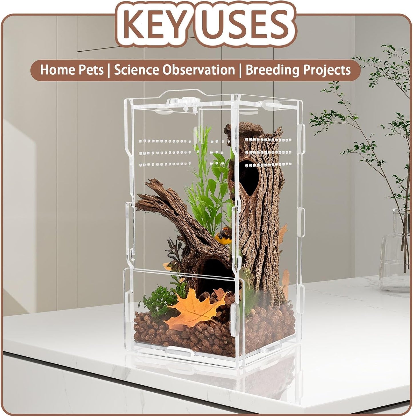 8x4x4in Vertical Acrylic Jumping Spider Enclosure – Arboreal Tarantula & Reptile Terrarium for Sling Lizards, Geckos, Snails