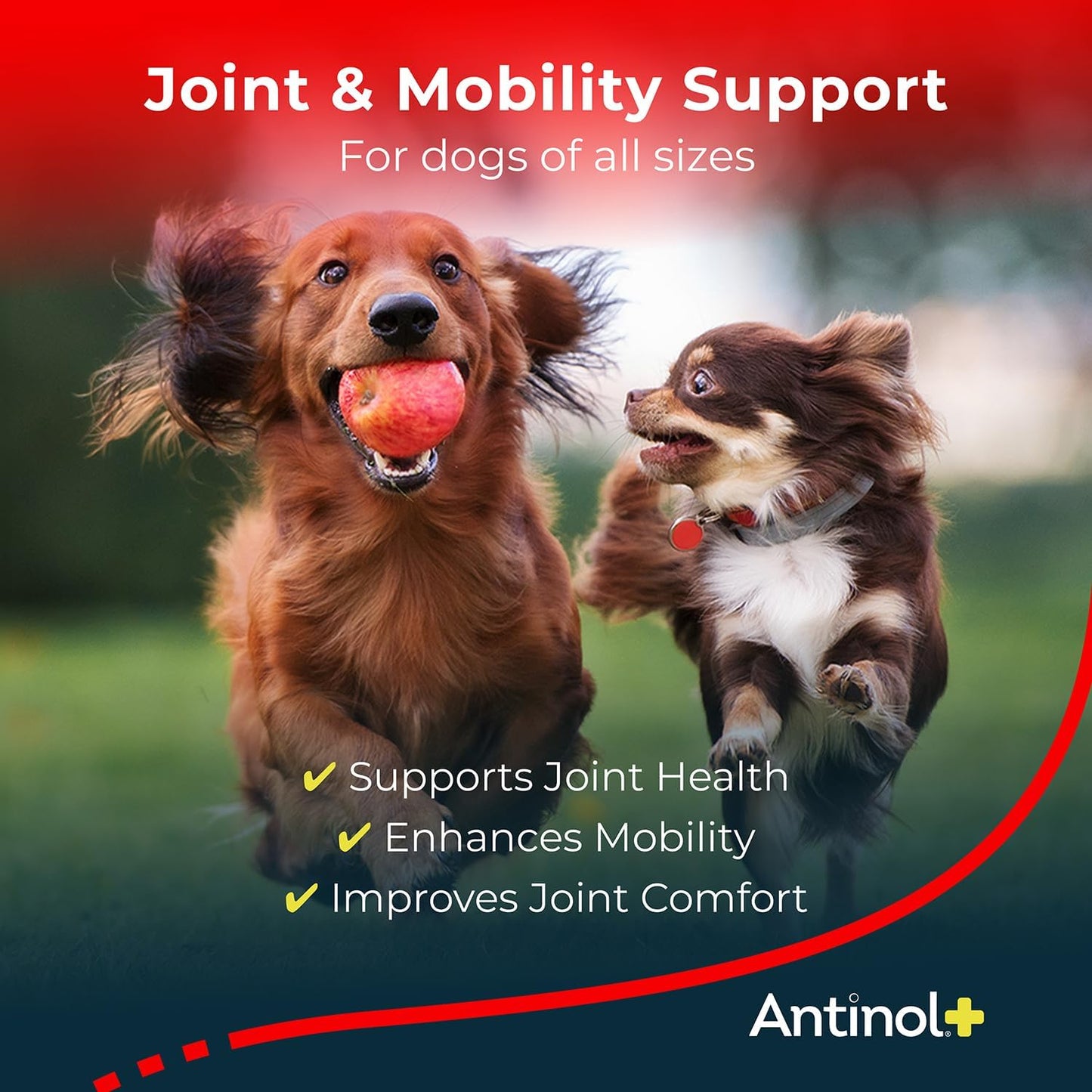 Plus, Mobility, Hip, and Joint Supplement for Dogs, Green-Lipped Mussels and Krill Oil - Dog Joint Supplement, Better and Faster Than Glucosamine and Chondroitin, 90 Soft Gels