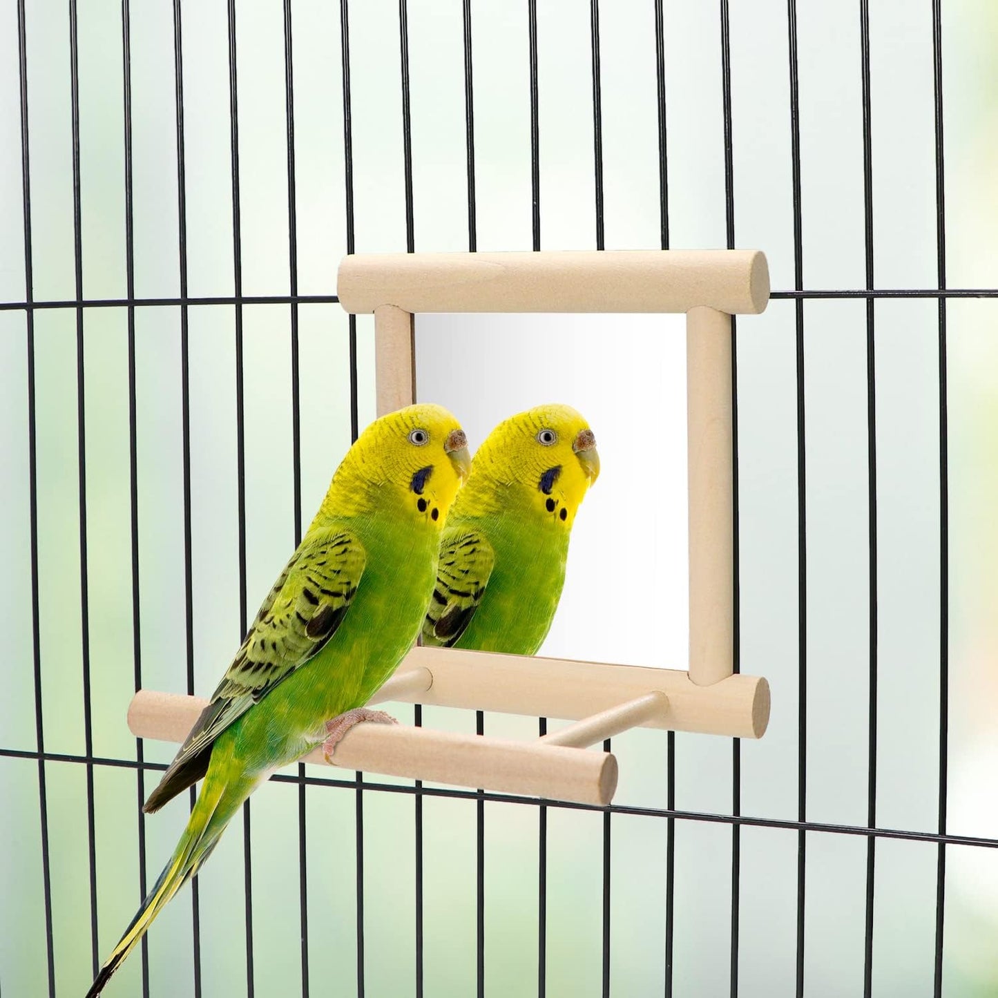 Bird Mirror with Perch Bird Toys for Parrots Budgies Parakeets Cockatiels Lovebirds Finches Canaries