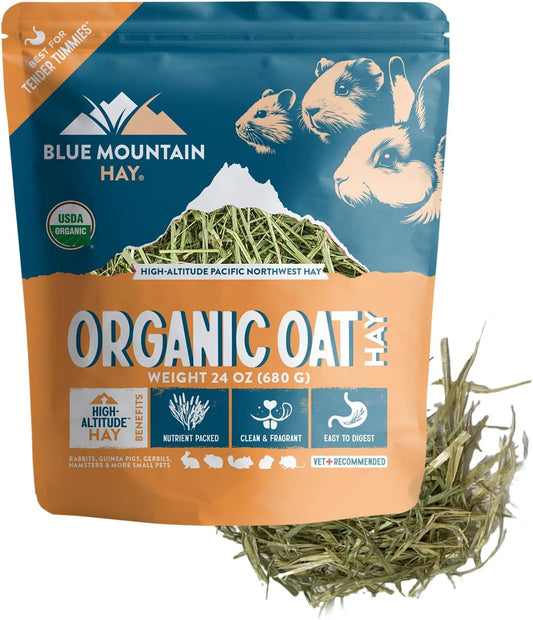 Blue Mountain Hay | Fresh Organic Oat Hay (24 Ounce) | Good for Sensitive Digestion | High-Altitude Hay Pet Food for Rabbits, Guinea Pigs, Chinchillas, Hamsters, and Other Small Pets