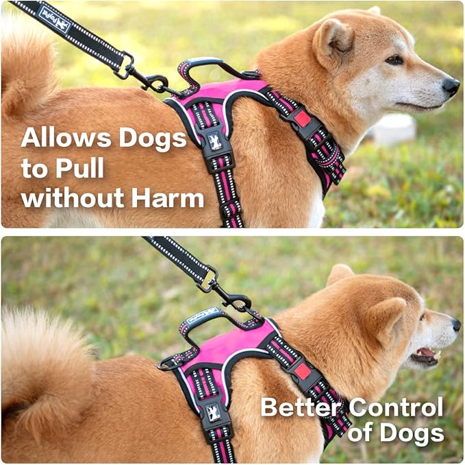 PoyPet No Pull Dog Harness, No Choke Front Clip Reflective Dog Vest with Soft Padded Vertical Handle, 3 Leash Attachments for Small Medium Large Dogs (Pink,S)