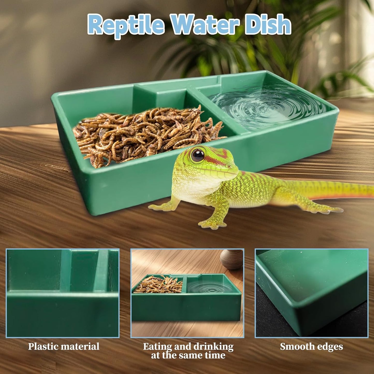 PINVNBY Reptile Feeding Box 6 PCS Snake Breeding Box Lizard Cricket Cage Habitat Hatching Container Transparent Portable Critter Keeper for Spider Scorpion Gecko Tortoise Treefrog (2 Large 4 Small)