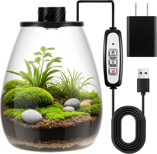 Maxdot Glass Plant Terrarium Kit with Light for Succulent, Moss, Miniature Gardening Landscape, Betta Fish Tank, Office Home Decoration, Plant Lovers Gifts (6.9 x 7.8 Inch)