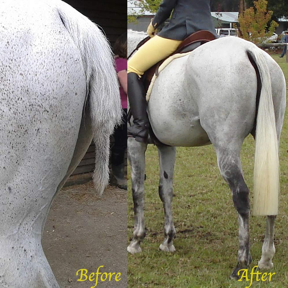 Horse Tail Extensions with Braided Horsehair Loop, Blunt Cut Bottom, 28-30 inches Long and 3/8 lb Weight