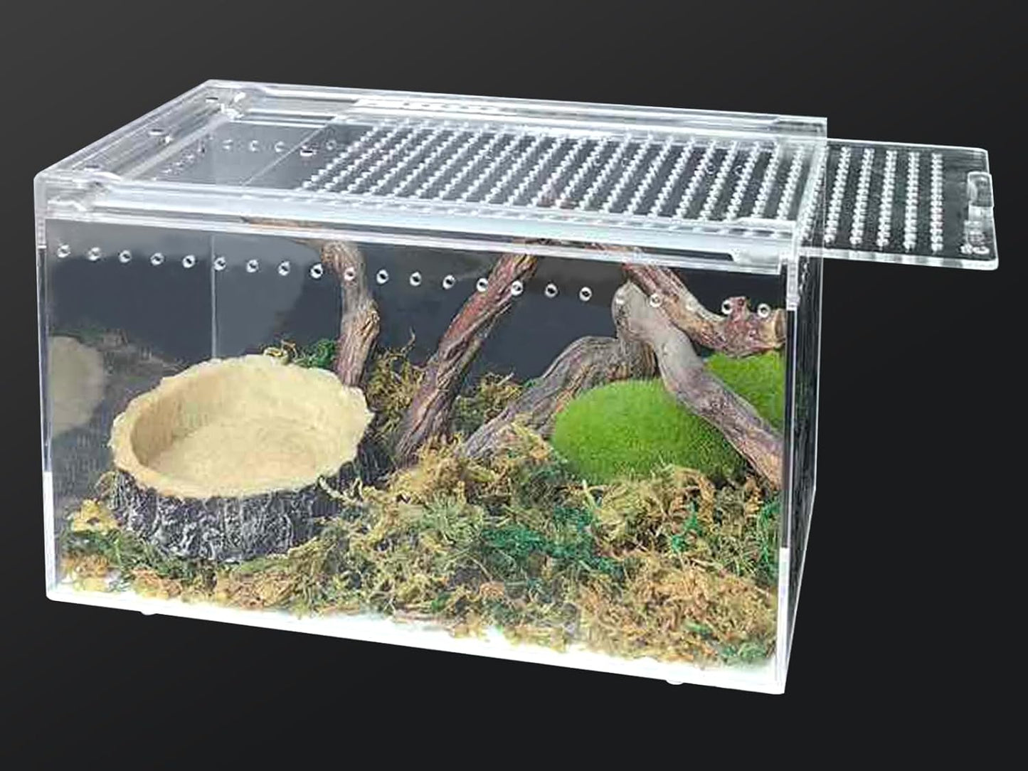 Acrylic Reptile Terrarium Enclosure 9.8" x 5.9" x 5.9" Magnetic Tarantula Breeding Box Transparent Insect Habitat for Jumping Spider Hermit Crab Lizard Sling Isopods Horned Frog Snake Gecko