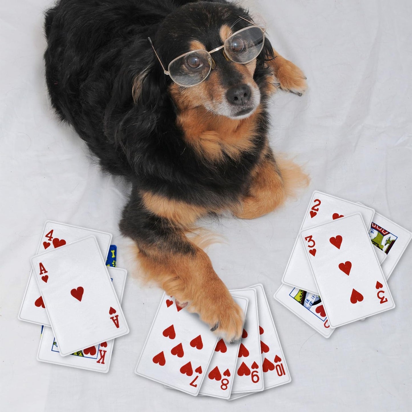 15PCS Funny Poker Dog Toys- Plush Interactive Toys with Crinkle Paper for Small, Medium Puppies- Fun Novelty Play- Cool Stuffed Gifts for Dog Birthday(Red)