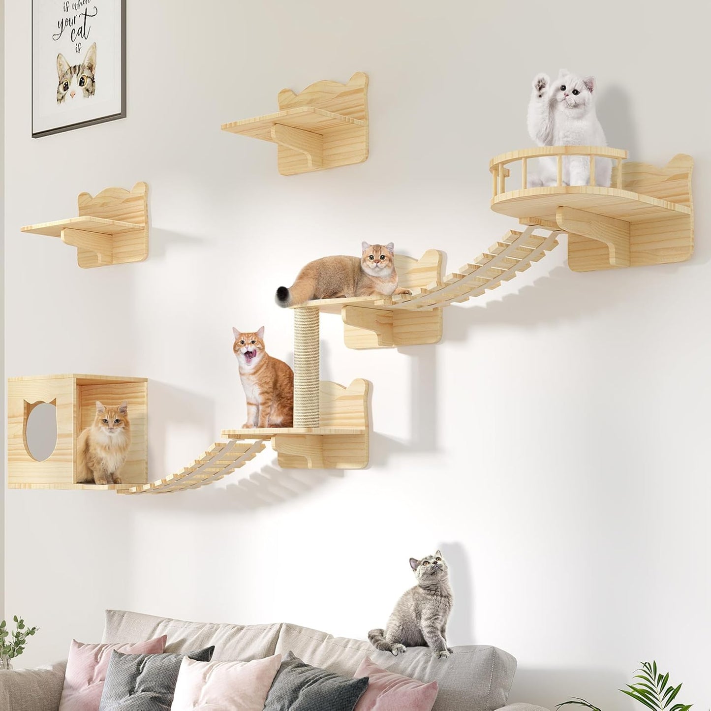Cat Wall Shelves, Cat Wall Furniture Pine Wooden Feline Shelf, 9 Piece Shelves and Perches with Bed, House, Steps, Bridge Ladder and Scratching Post
