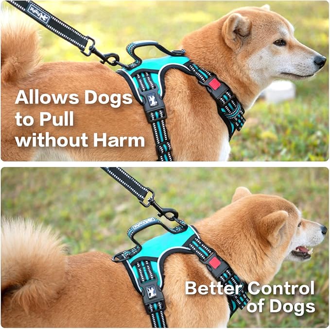 PoyPet No Pull Dog Harness, No Choke Front Clip Reflective Dog Vest with Soft Padded Vertical Handle, 3 Leash Attachments for Small Medium Large Dogs (Mint Blue,XL)