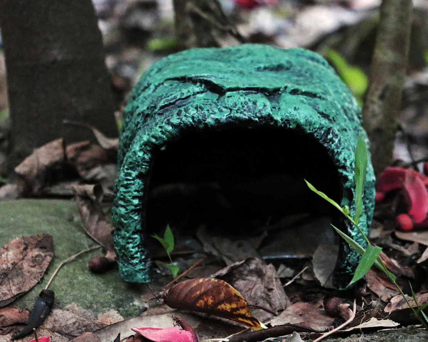 Reptile and Amphibians Rock Hide Cave - Climbing and Hiding Spots, Terrarium & Aquarium Decor, Perfect for Bearded Dragons,Lizards,Snakes,Turtles,Geckos,Frogs,Small Animals - Large Size