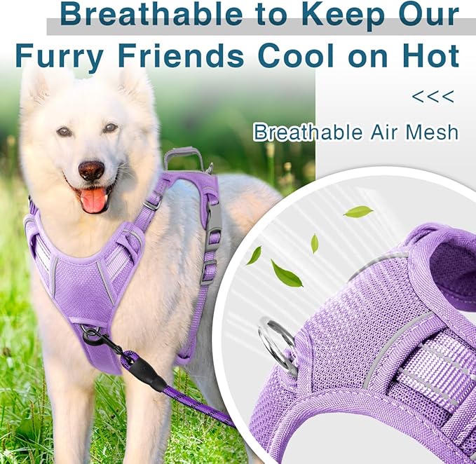 BARKBAY Dog Harness No Pull with ID Tag Pocket - Heavy Duty, Reflective, Easy Control for Large Dogs(Violet Purple,S)