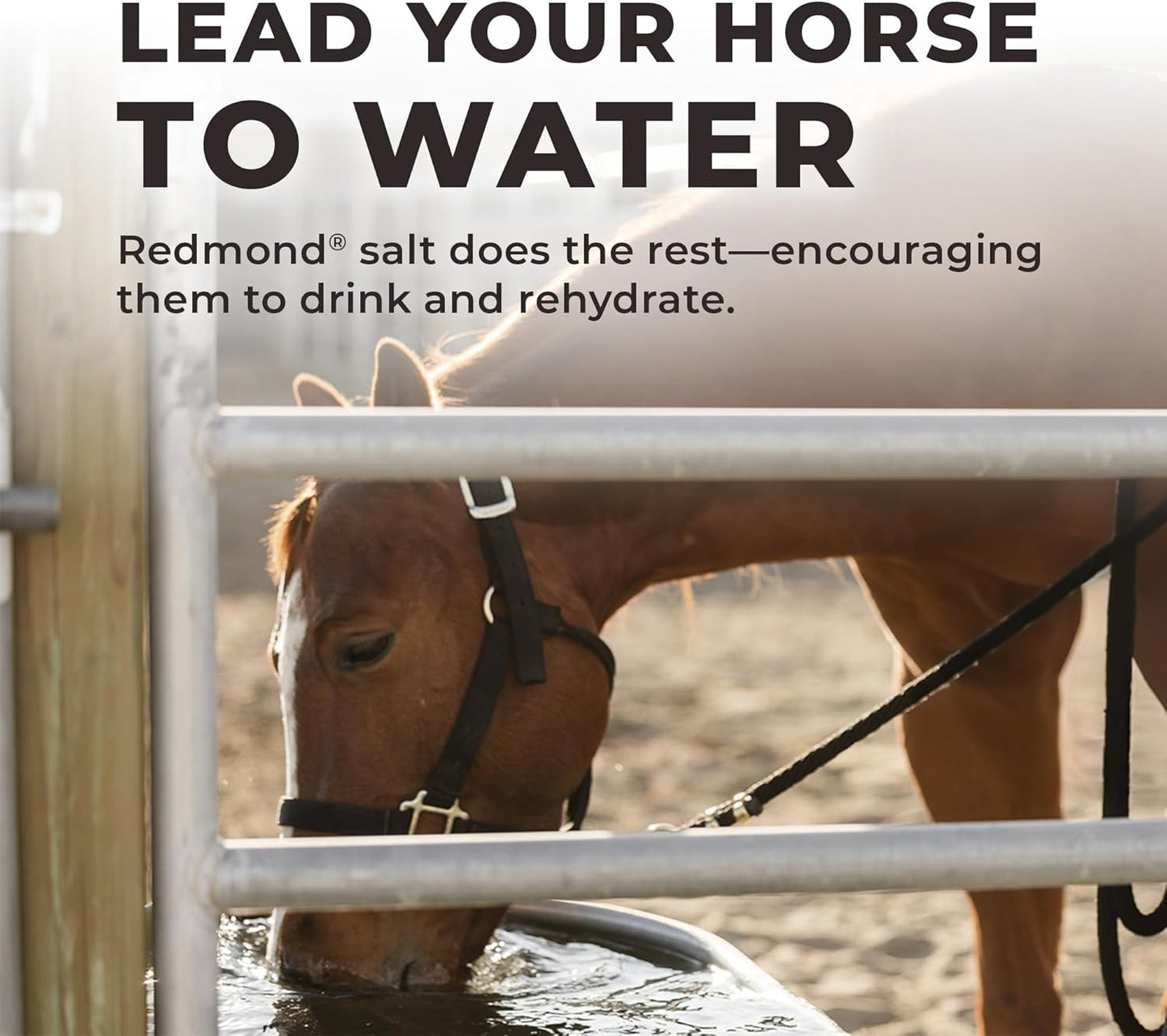 Daily Red Fortified w/Garlic - Horse Vitamin & Mineral Supplement 5 lb Pouch