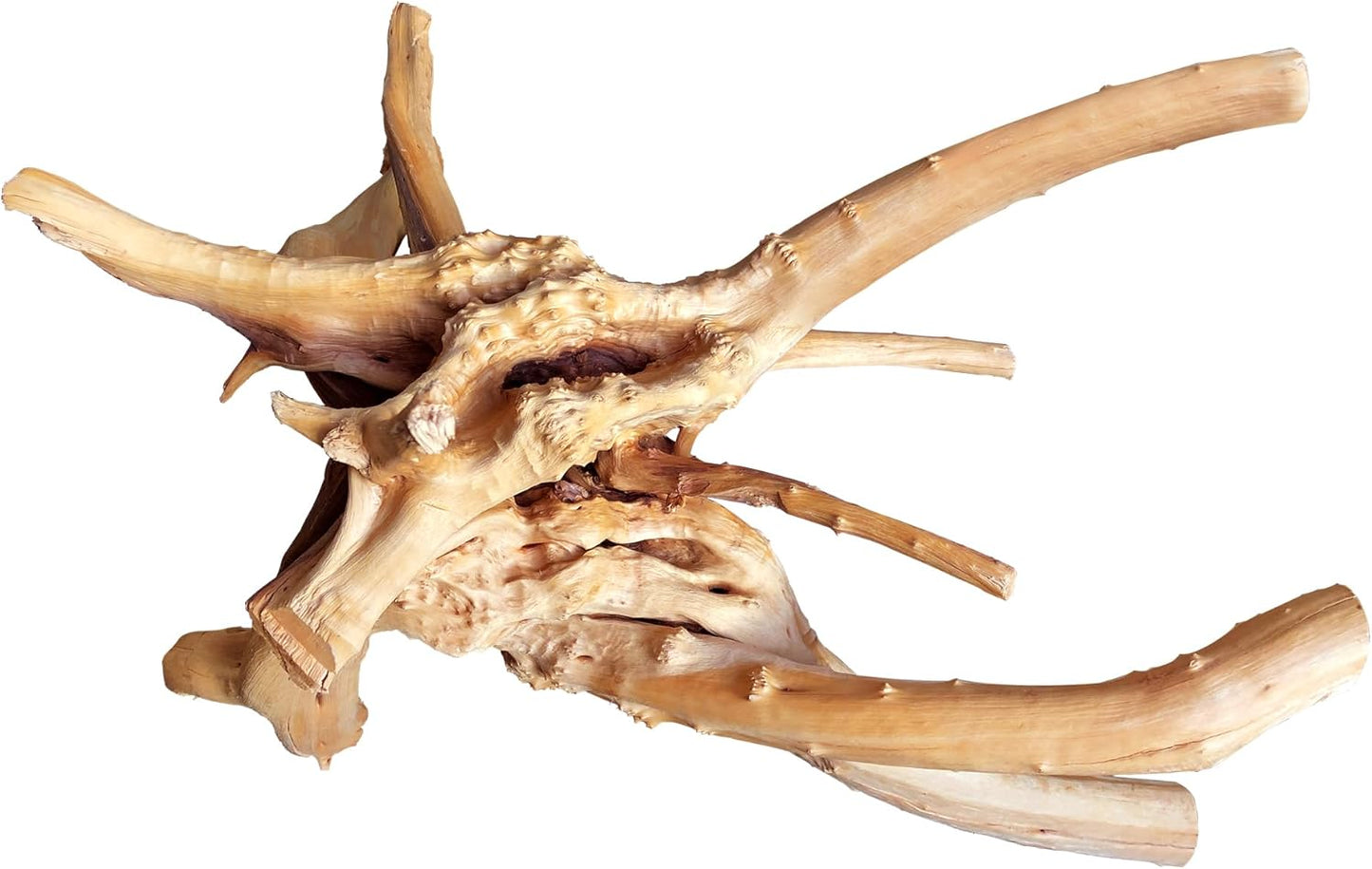 majoywoo Natural Large Driftwood for Aquarium Decor Reptile Decor, Assorted Spider Wood Branch 13-17" Long, Fish Tank Decoration