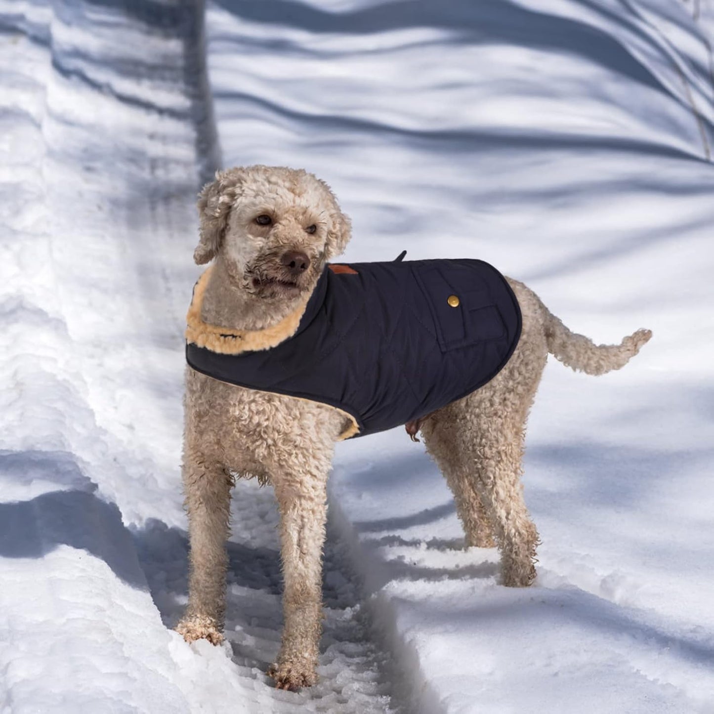 Queenmore Warm Puffer Dog Coat, Quilting Winter Jacket Ultra Thick Plush Lining with Storage Pockets (Dark Navy, Small)