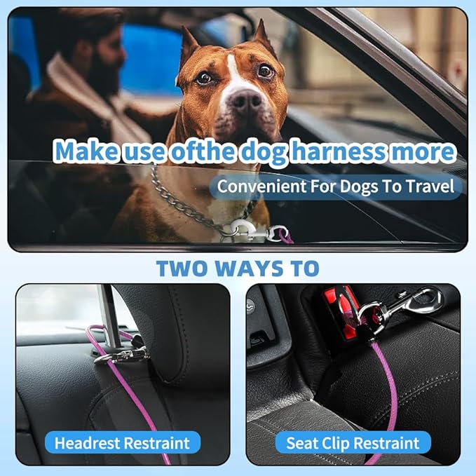 Dog Seat Belt Harness for Car,Dog Seatbelt of Coated Wire Leash Safety Restraint,No Chew Tether Cable Vehicle,Double Clips & Latch(Purple, 32 inch/80 CM)
