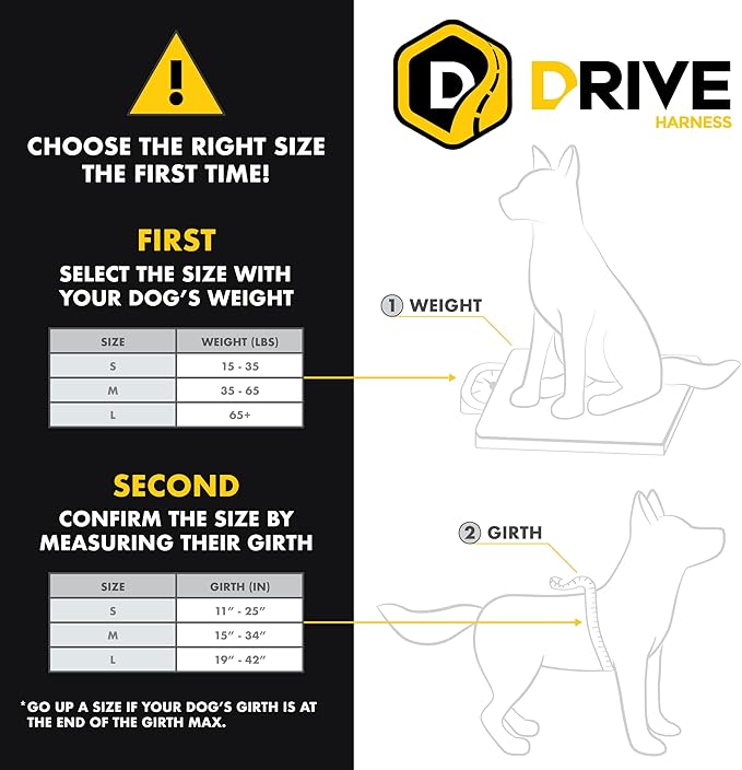 Ezydog Drive Dog Car Harness – Crash Tested and Certified (US-FMVSS 213) Dog Seat Belt Harness for Safe Travel, Adjustable with Padded Comfort (Medium)