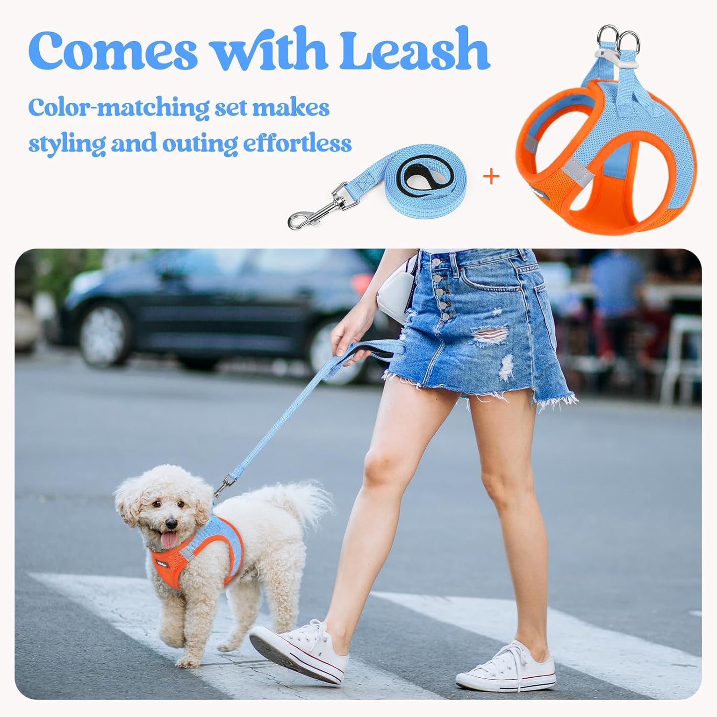 rabbitgoo Dog Harness Small Medium Sized and Leash Set, Step in Soft Light Puppy Vest, Breathable Mesh Pet Harness, Reflective for Safe Easy Walking, Blue & Orange L