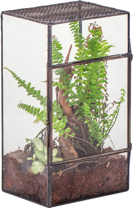 NCYP Glass Terrarium with Door and Mesh for Small Insects - 5.1 x 3.9 x 9 Inches Rectangle Reptile Habitat, Black - Modern Home Tabletop Decor (Terrarium Only)