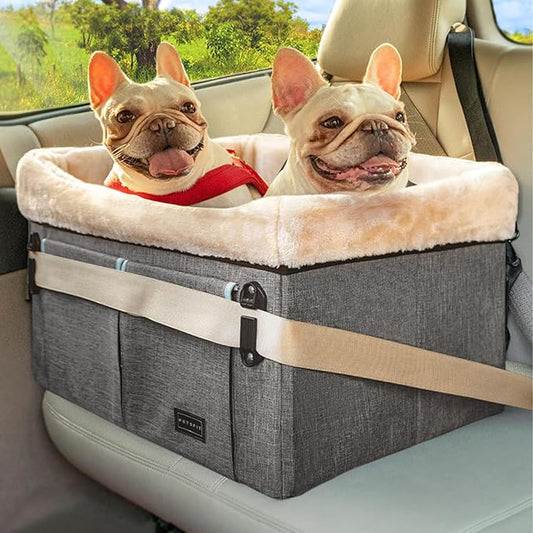 Petsfit Dog Car Seat Medium Sized Dog or 2 Small Dogs with Patent Buckles, Washable Pad, Dog Booster Car Seat for Dogs Up to 45 lbs (Medium, Light Grey)