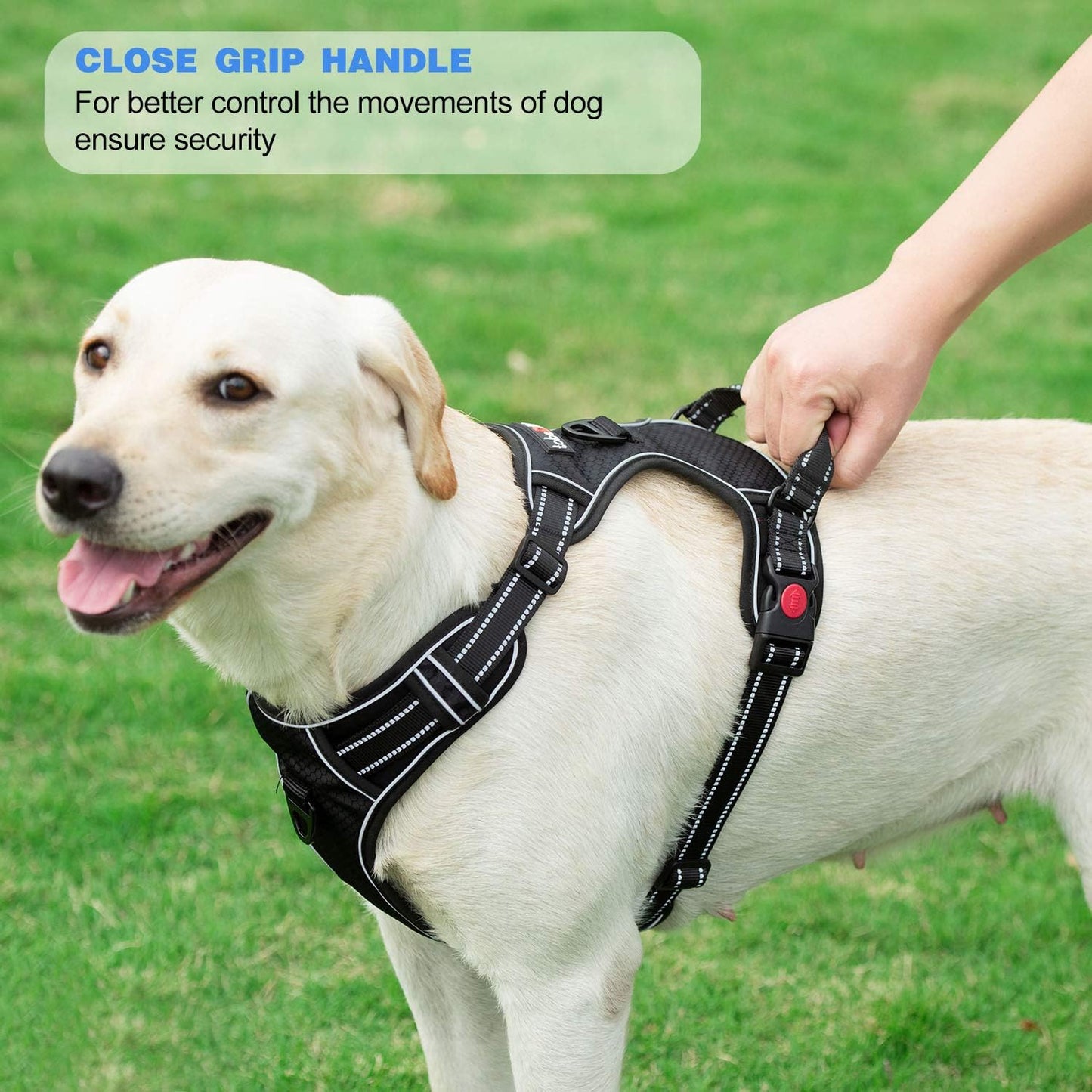 No Pull Dog Harness Adjustable Reflective Oxford Easy Control Medium Large Dog Harness with A Free Heavy Duty 5ft Dog Leash (L (Neck: 18"-25.5", Chest: 24.5"-33"), Blue Harness+Leash)