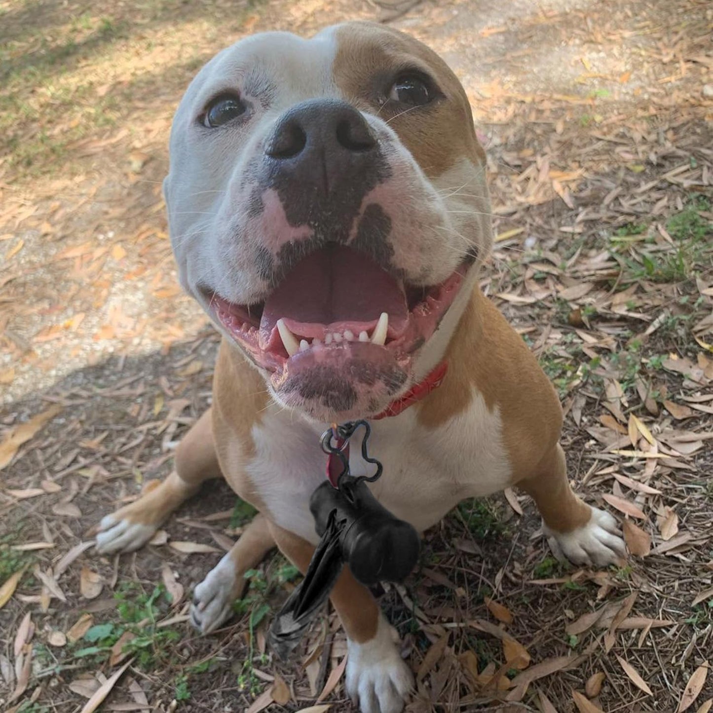 Best Pet Supplies Dog Poop Bags (360 Bags) for Waste Refuse Cleanup, Doggy Roll Replacements for Outdoor Puppy Walking and Travel, Leak Proof and Tear Resistant, Thick Plastic - Black