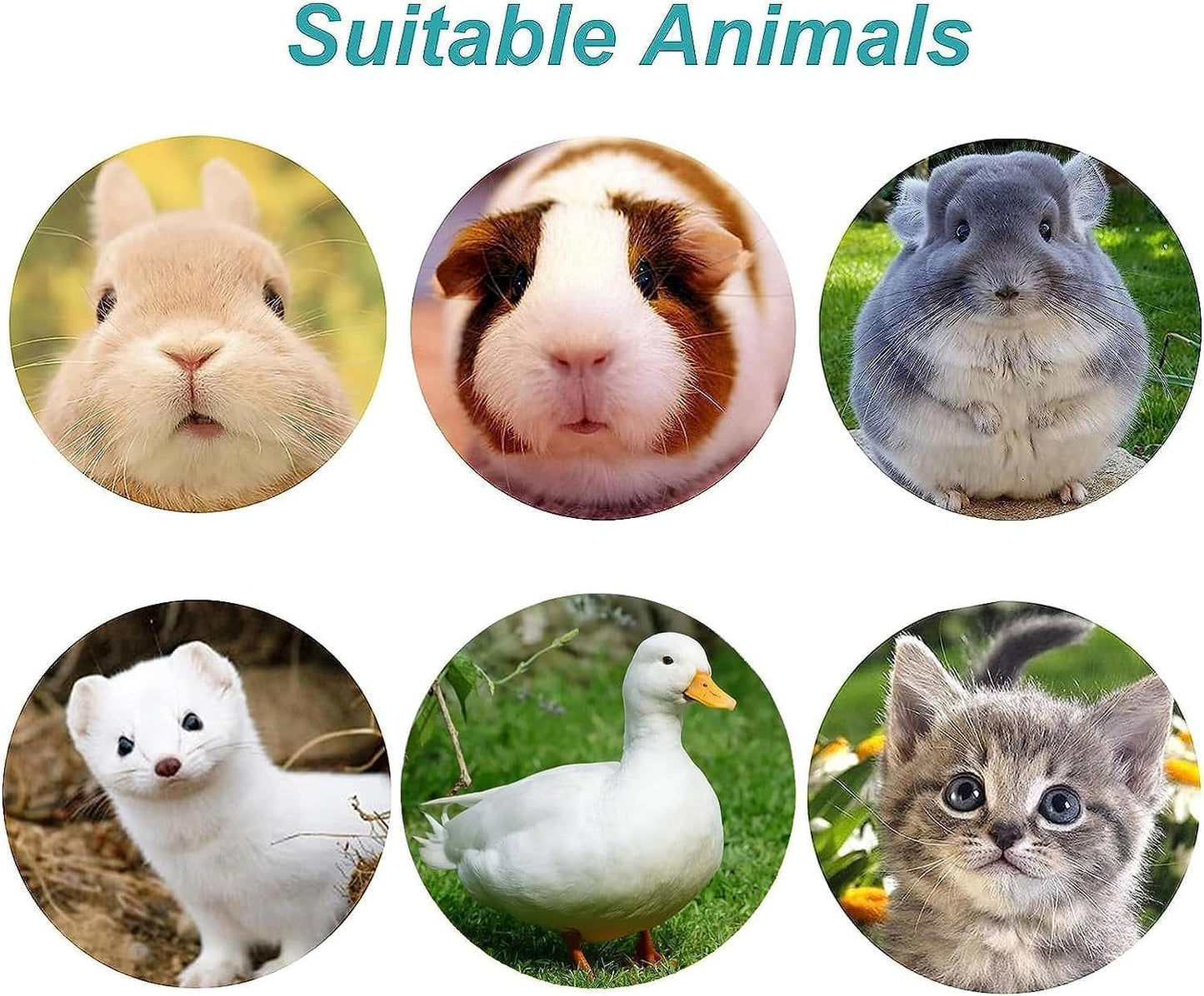 kathson 2Pcs Rabbit Water Bottle 17 OZ Bunny Hanging Water Fountain Automatic Guinea Pig Water Dispenser No Leak Drinking Feeder for Bunny Chinchilla Hamsters Cat Dog Small Animals(Blue)