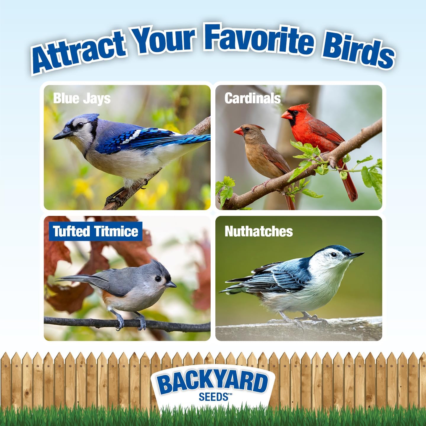 CountryMax Sunflower Chips Medium Sized Shelled No Waste Bird Seed