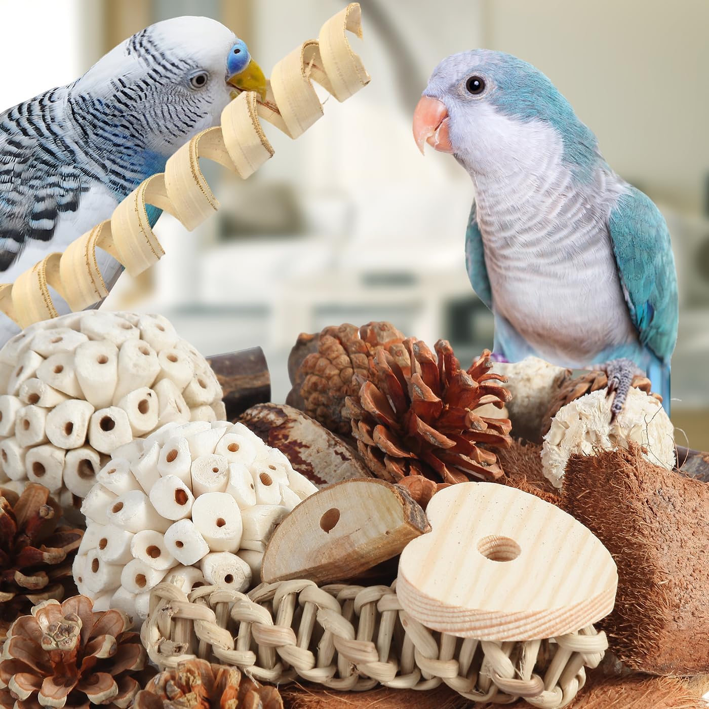 Kyouki Bird Toys Parrot Natural Bird Foraging Box Foot Toys for Parakeets,Cockatiels,Conures,Love Birds,and Other Small to Medium Birds (Large)