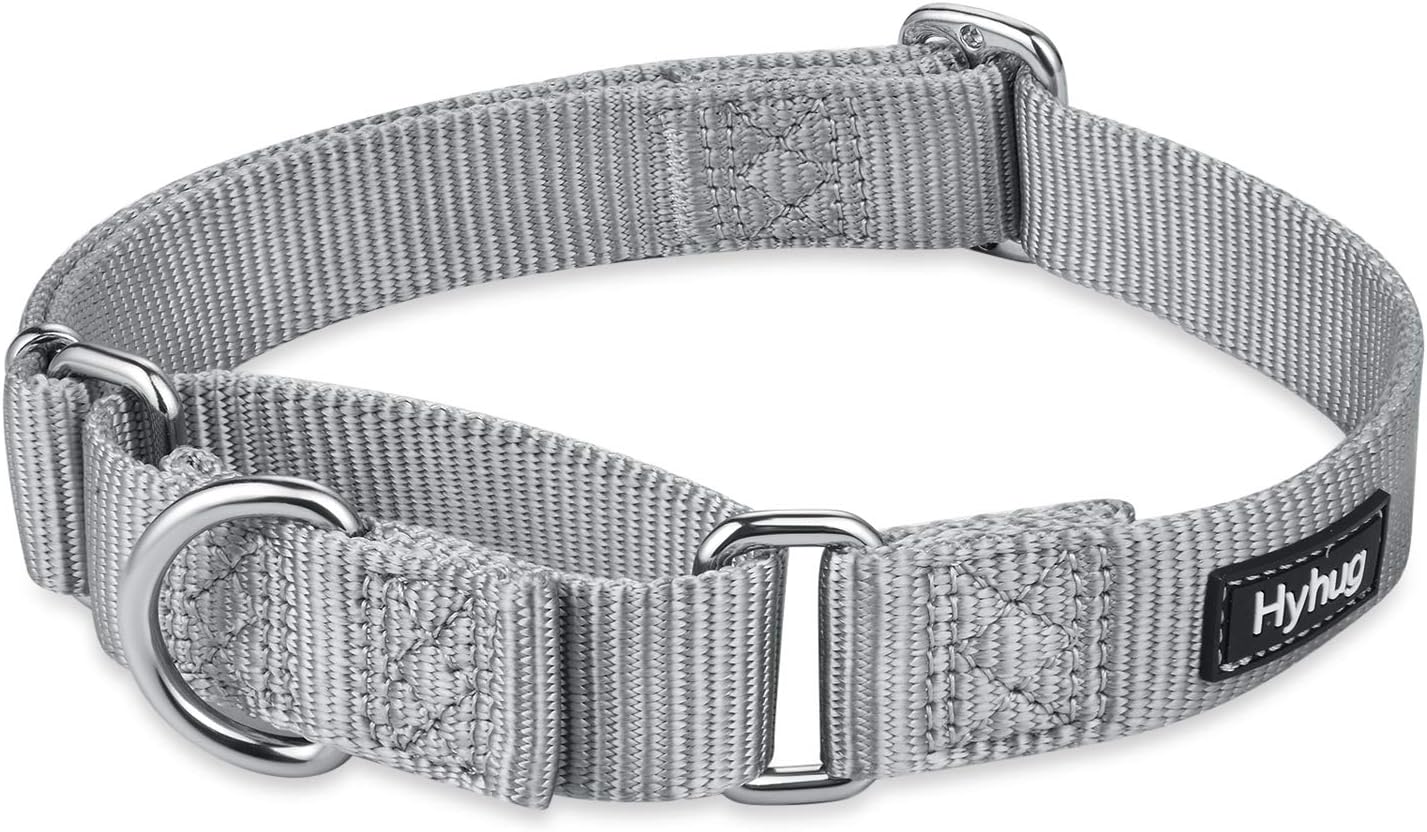 Hyhug Pets Premium Upgraded Heavy Duty Nylon Anti-Escape Martingale Collar for Pup Boy and Girl Dogs Comfy and Safe - Professional Training, Daily Use Walking. (Small, Sleet Gray)