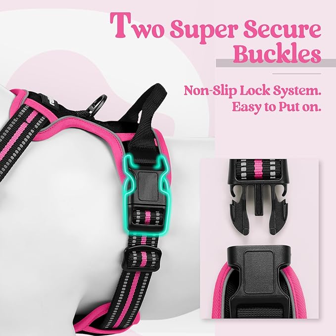 rabbitgoo Dog Harness No Pull with 2 Leash Clips, Adjustable Soft Padded, Reflective Oxford No Choke Pet Vest with Easy Control Handle for Large Dogs, Black & Hot Pink, L