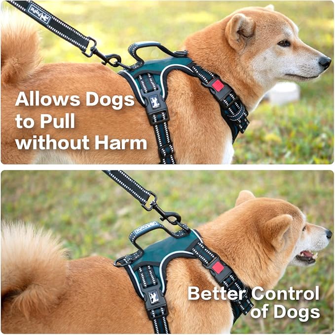 PoyPet No Pull Dog Harness, No Choke Front Clip Reflective Dog Vest with Soft Padded Vertical Handle, 3 Leash Attachments for Small Medium Large Dogs (Tumalo Teal,XL)
