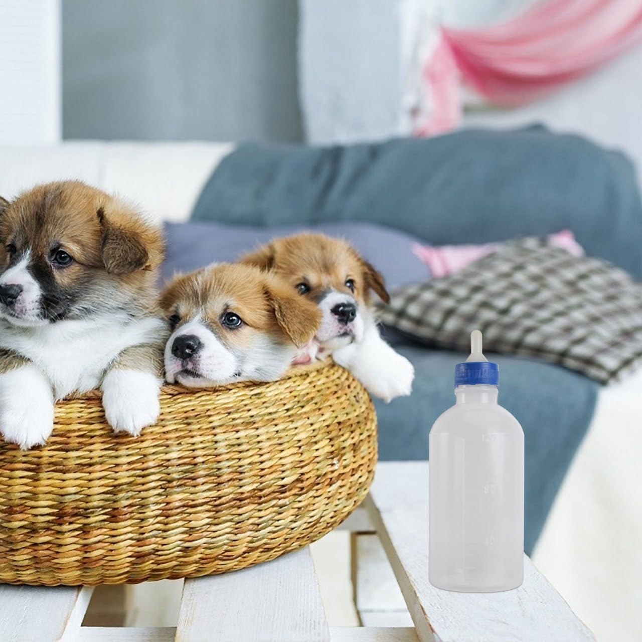 POPETPOP Pet Feeding Bottle,5pcs Dog Cat Nursing Bottle Animal Nurser Bottle Lamb Feeding Bottle Goat Bottles Feeding Milk Bottle Feeding Supplies for Piglet Goat Calf 120ml