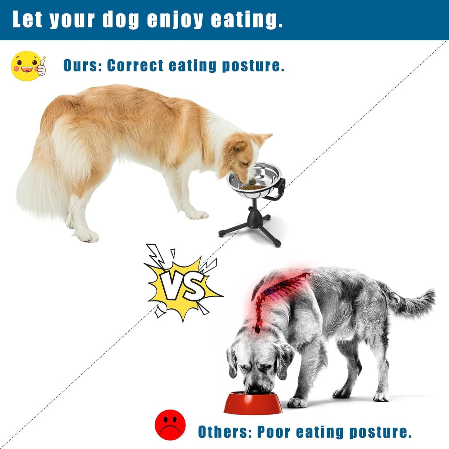 2 Pack Elevated Bowls With Adjustable Metal Stand, Medium Size for Dogs 30-70 lbs, 0.5 Gal 2 Liter, Stainless Steel Food Water Bowl, Height Adjustable Non-Slip Raised Set