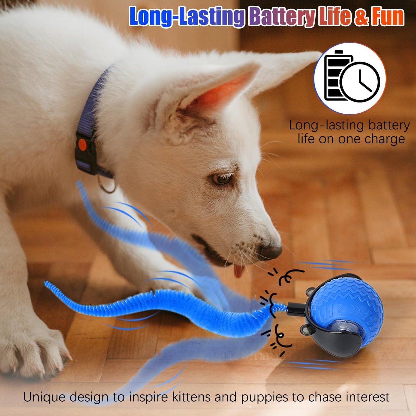 2PCS Interactive Cat Toy for Indoor Cats, Speedy Ball with Tail, Automatic Moving Cat Balls for Bored Indoor Adult Cats, Two Speed Adjustment,360°Automatic Rolling Ball Toy (Blue+Orange)
