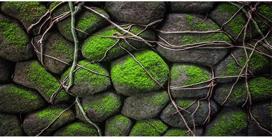 AWERT 48x24 inches Stone Aquarium Background Rock Fish Tank Background Rocky Terrarium Background Vinyl