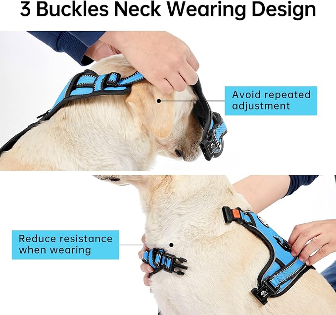IVY&LANE No Pull Dog Harness for Small Dogs, Dog Vest Harness with Leash, Safety Belt and Storage Strap, Fully Adjustable Harness, 360° Reflective Strip, Soft Handle (Blue, S)