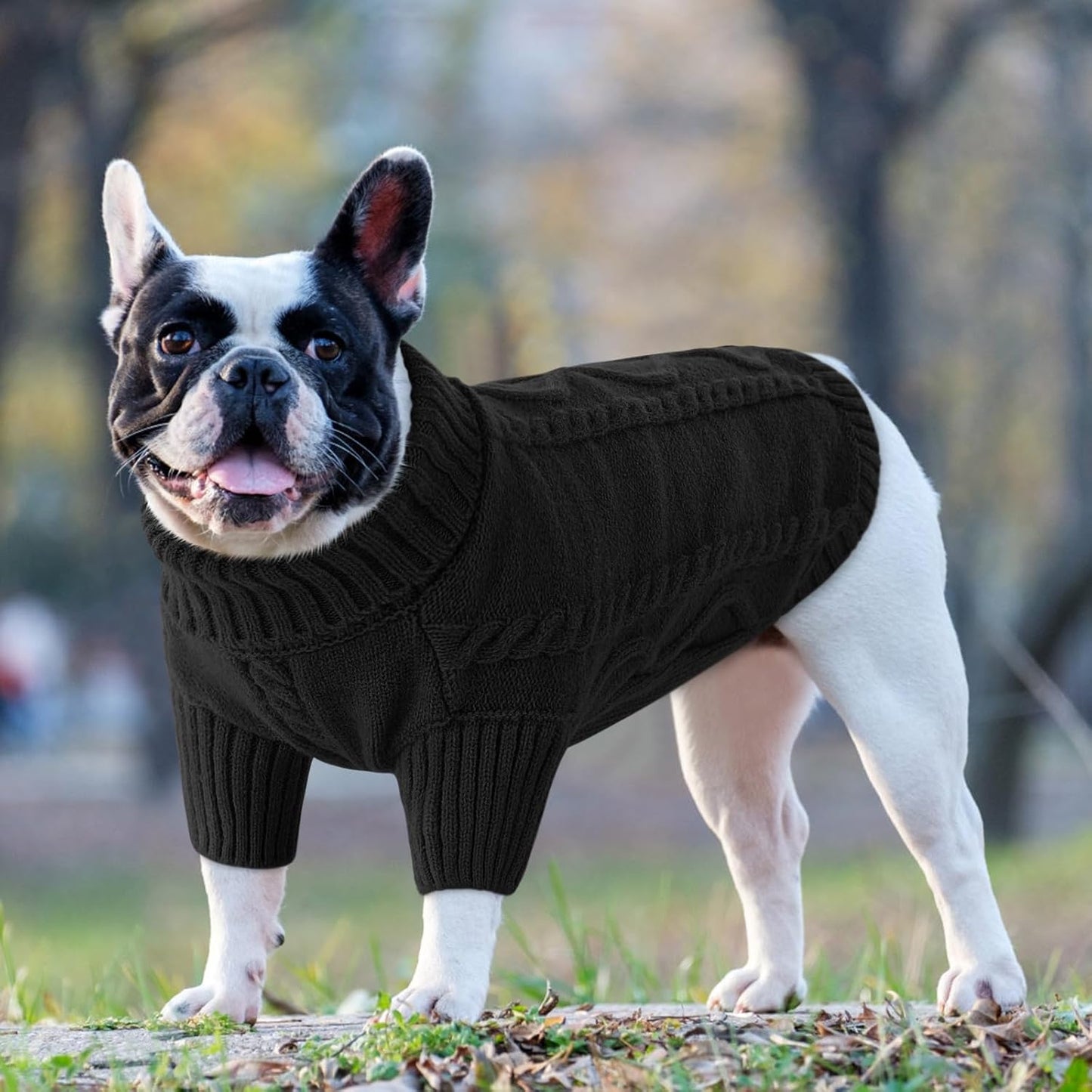 Queenmore Dog Sweater Large Size,Warm Dog Sweaters for Big Dogs,Chunky Knitted Doggy Sweater for Extra Large Dogs Boy Girl, Big Doggie Turtleneck Winter Outfit (Black,2XL)