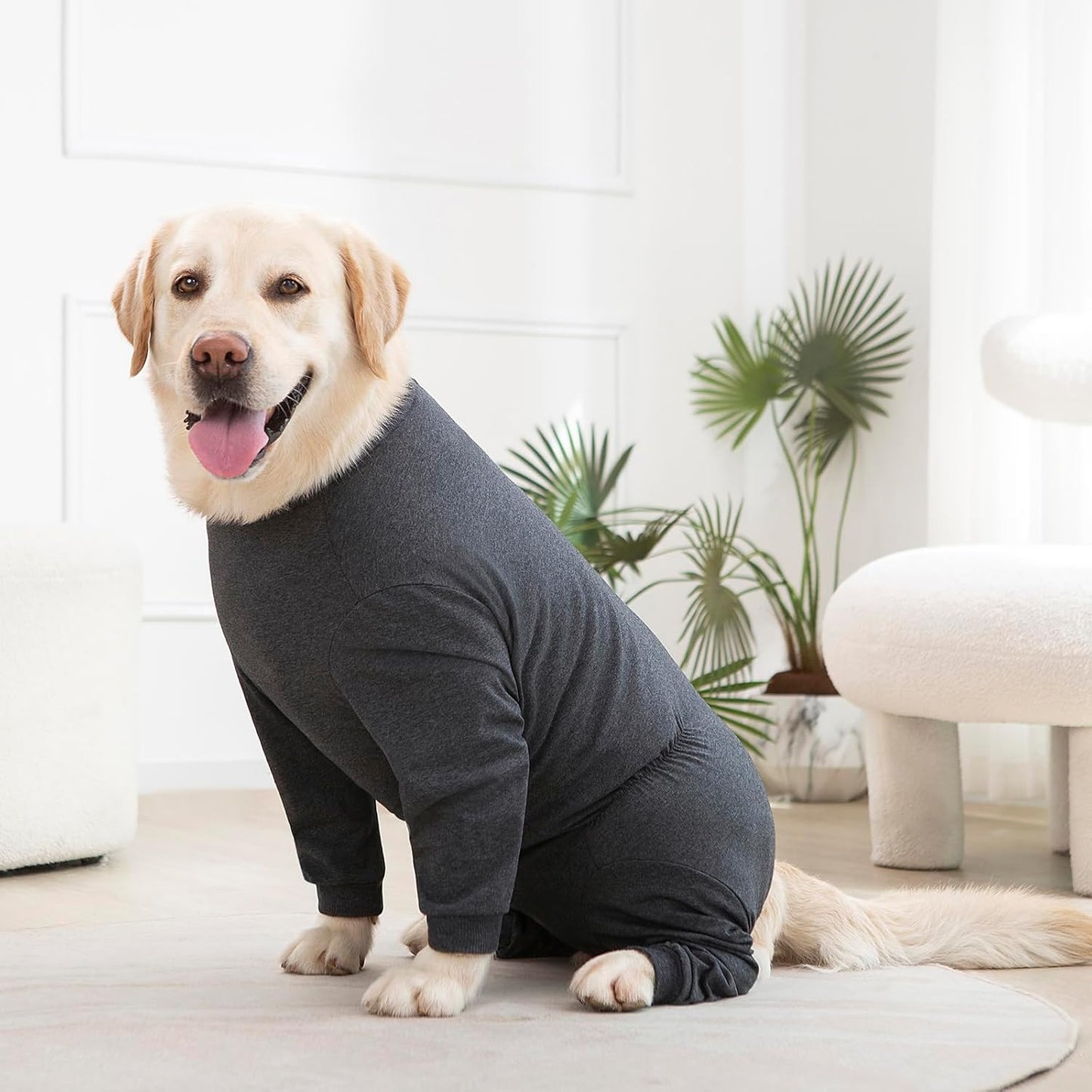 Yeapeeto Dog Onesie Surgery Recovery Suit for Large Medium Bodysuit Dogs Pajamas PJS Full Body for Shedding, Prevent Licking, Wound Protection, Cone Alternative(6XL,Dark Grey)