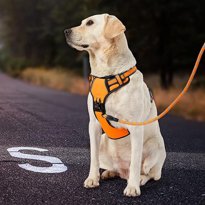 IVY&LANE No Pull Dog Harness for Large Dogs, Dog Vest Harness with Leash, Safety Belt and Storage Strap, Fully Adjustable Harness, 360° Reflective Strip, Soft Handle (Orange, L)