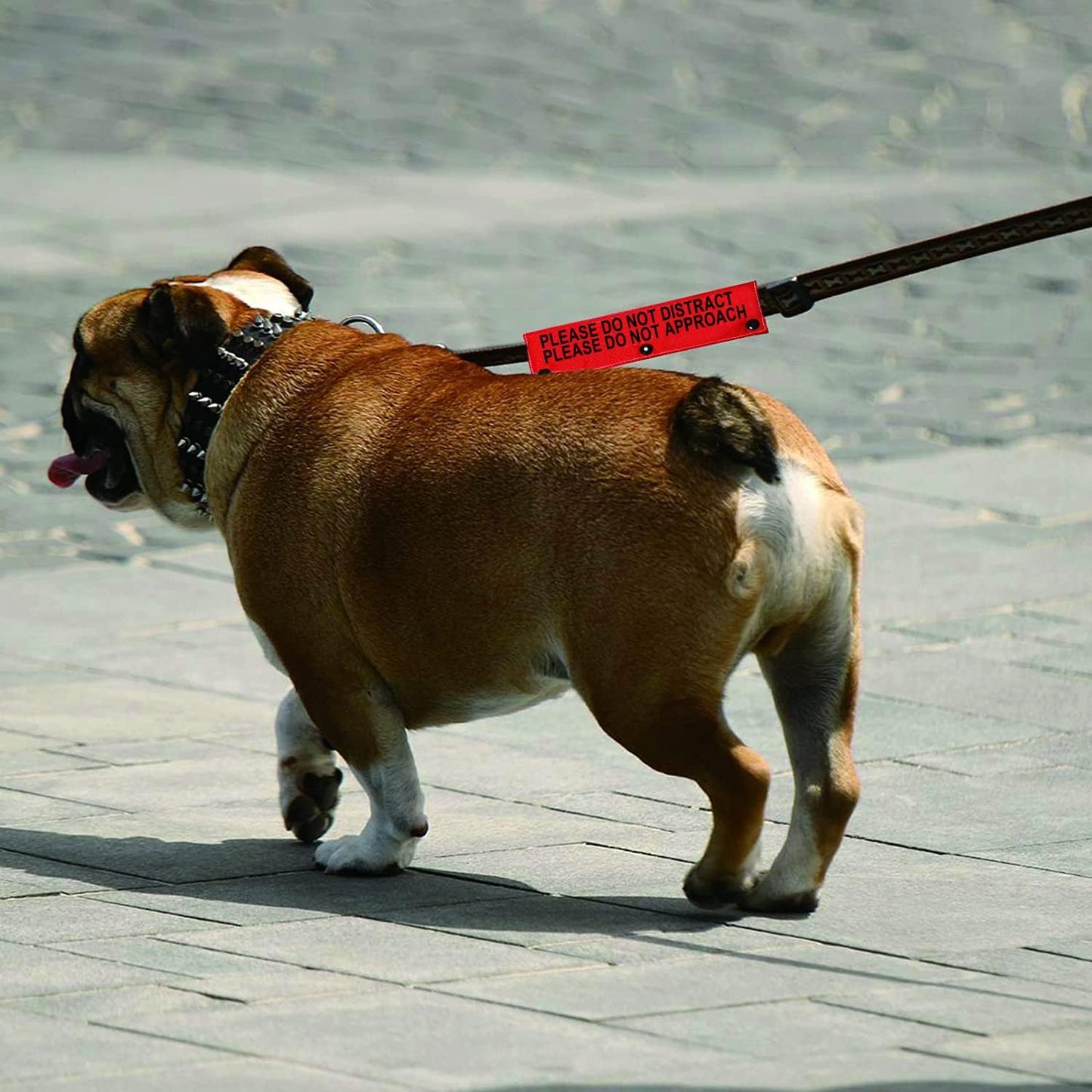 Funny Dog Leash Sleeve Please Do Not Distract Please Do Not Approach Dog Leash Wrap Sleeve (Not Distract Not Approach-Sleeve)